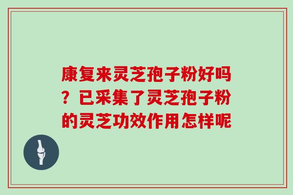 康复来灵芝孢子粉好吗？已采集了灵芝孢子粉的灵芝功效作用怎样呢