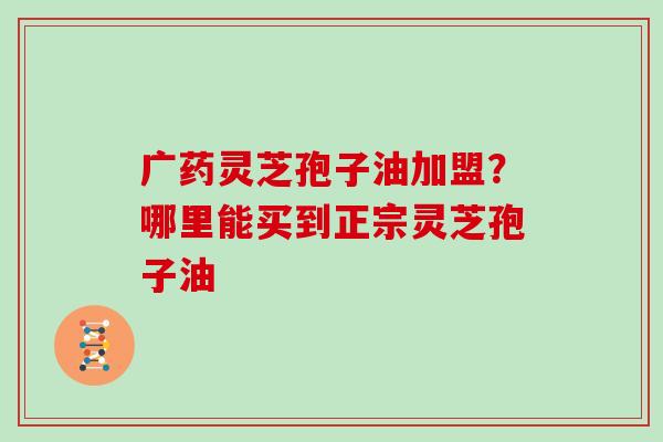 广药灵芝孢子油加盟？哪里能买到正宗灵芝孢子油