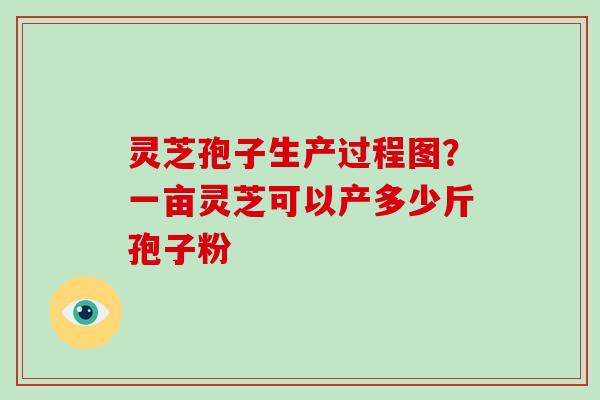 灵芝孢子生产过程图？一亩灵芝可以产多少斤孢子粉