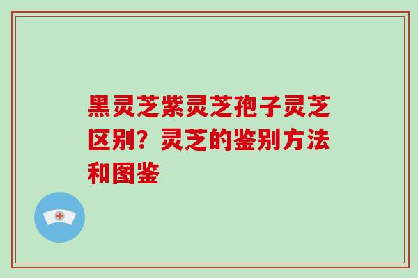 黑灵芝紫灵芝孢子灵芝区别？灵芝的鉴别方法和图鉴