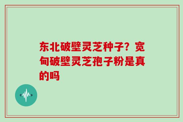 东北破壁灵芝种子？宽甸破壁灵芝孢子粉是真的吗