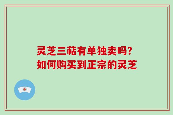 灵芝三萜有单独卖吗？如何购买到正宗的灵芝