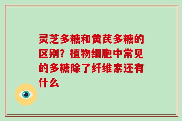 灵芝多糖和黄芪多糖的区别？植物细胞中常见的多糖除了纤维素还有什么