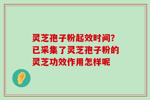 灵芝孢子粉起效时间？已采集了灵芝孢子粉的灵芝功效作用怎样呢