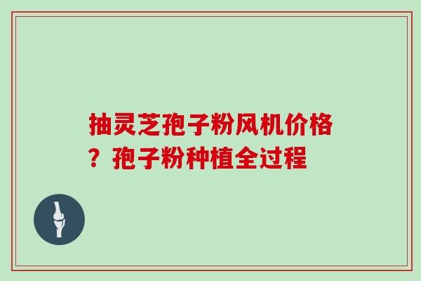 抽灵芝孢子粉风机价格？孢子粉种植全过程