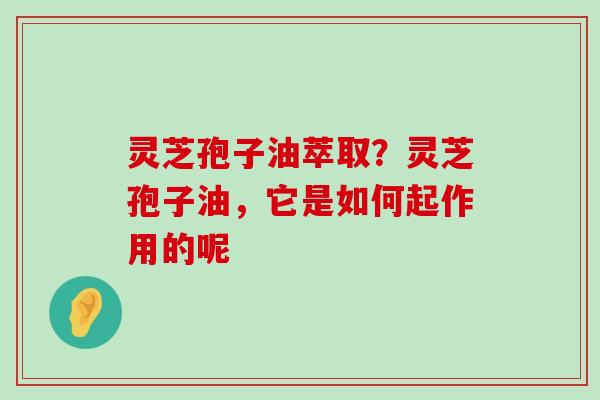 灵芝孢子油萃取？灵芝孢子油，它是如何起作用的呢