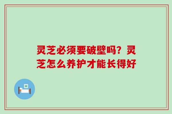 灵芝必须要破壁吗？灵芝怎么养护才能长得好