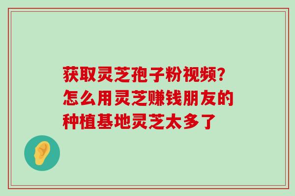 获取灵芝孢子粉视频？怎么用灵芝赚钱朋友的种植基地灵芝太多了