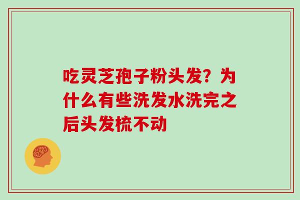 吃灵芝孢子粉头发？为什么有些洗发水洗完之后头发梳不动