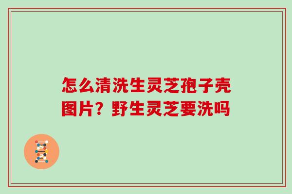 怎么清洗生灵芝孢子壳图片？野生灵芝要洗吗