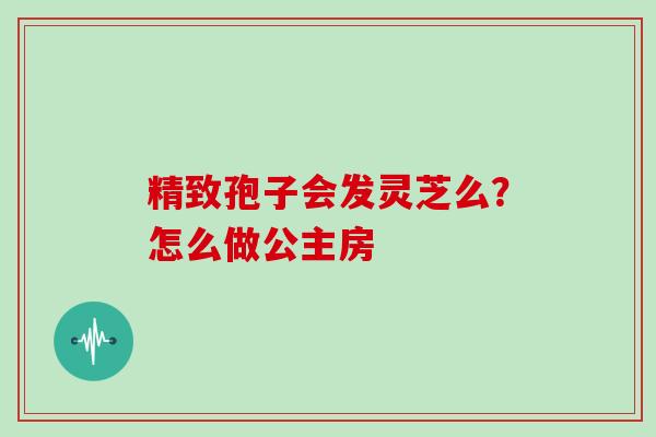 精致孢子会发灵芝么？怎么做公主房