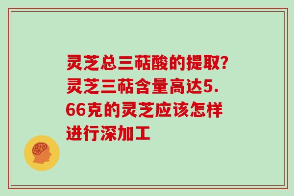 灵芝总三萜酸的提取？灵芝三萜含量高达5.66克的灵芝应该怎样进行深加工