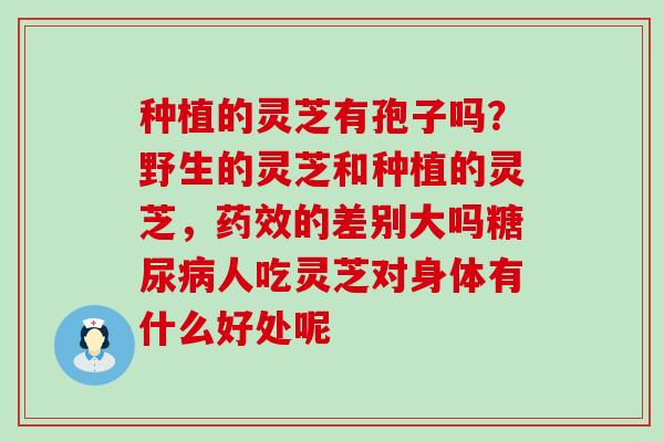 种植的灵芝有孢子吗？野生的灵芝和种植的灵芝，的差别大吗人吃灵芝对身体有什么好处呢