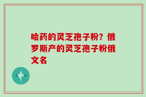 哈药的灵芝孢子粉？俄罗斯产的灵芝孢子粉俄文名