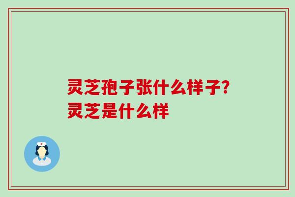 灵芝孢子张什么样子？灵芝是什么样