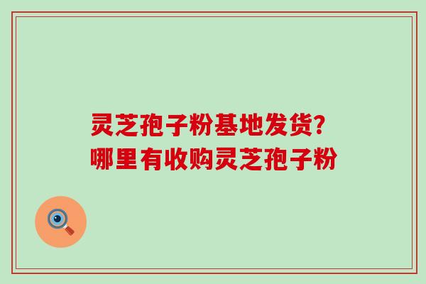 灵芝孢子粉基地发货？哪里有收购灵芝孢子粉