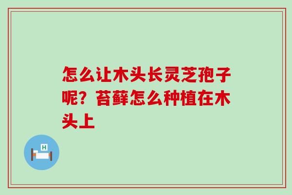 怎么让木头长灵芝孢子呢？苔藓怎么种植在木头上