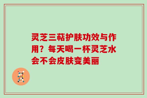 灵芝三萜护肤功效与作用？每天喝一杯灵芝水会不会变美丽