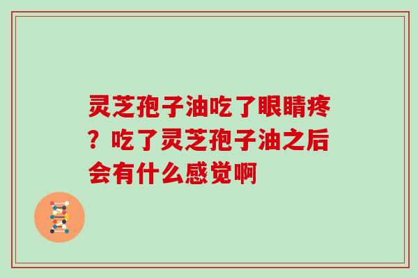 灵芝孢子油吃了眼睛疼？吃了灵芝孢子油之后会有什么感觉啊