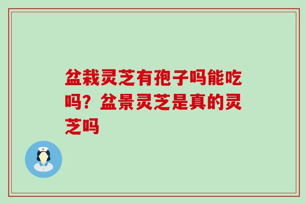 盆栽灵芝有孢子吗能吃吗？盆景灵芝是真的灵芝吗