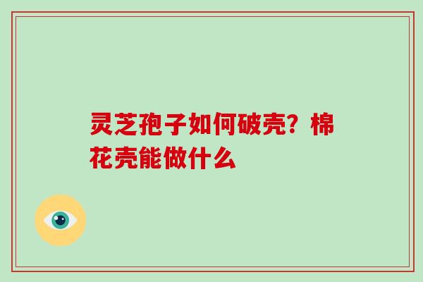 灵芝孢子如何破壳？棉花壳能做什么