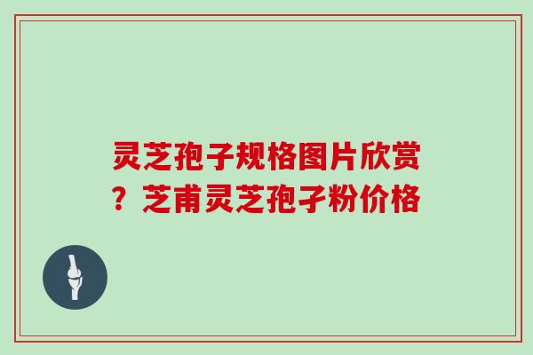 灵芝孢子规格图片欣赏？芝甫灵芝孢孑粉价格