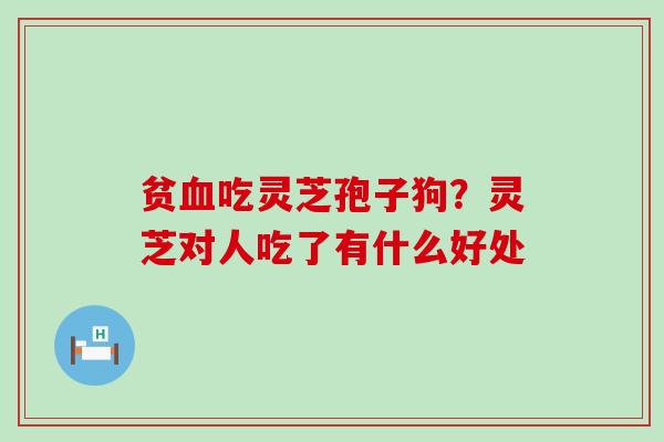 贫吃灵芝孢子狗？灵芝对人吃了有什么好处