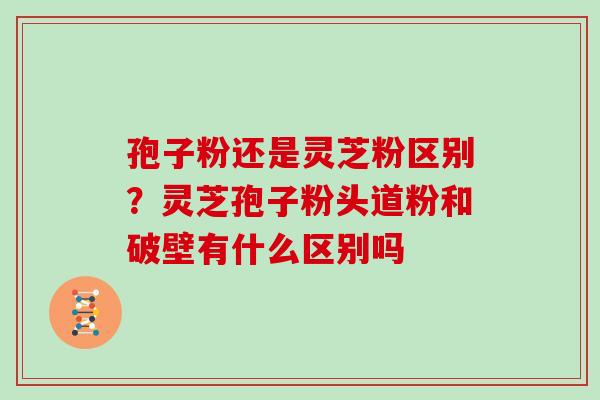 孢子粉还是灵芝粉区别？灵芝孢子粉头道粉和破壁有什么区别吗