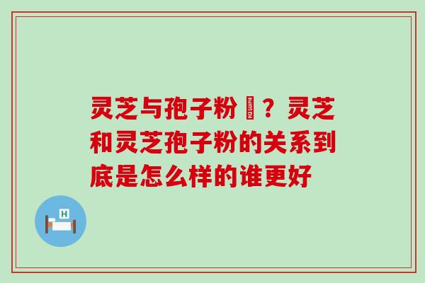 灵芝与孢子粉冇？灵芝和灵芝孢子粉的关系到底是怎么样的谁更好