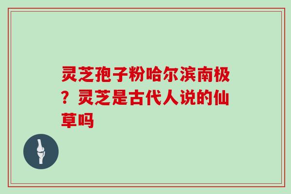 灵芝孢子粉哈尔滨南极？灵芝是古代人说的仙草吗