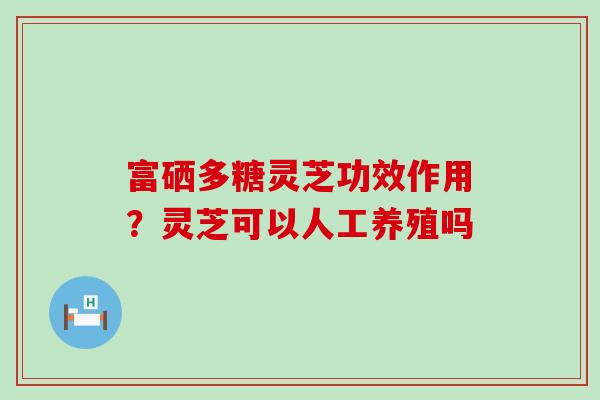 富硒多糖灵芝功效作用？灵芝可以人工养殖吗