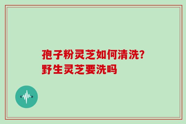 孢子粉灵芝如何清洗？野生灵芝要洗吗