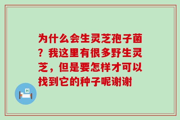 为什么会生灵芝孢子菌？我这里有很多野生灵芝，但是要怎样才可以找到它的种子呢谢谢