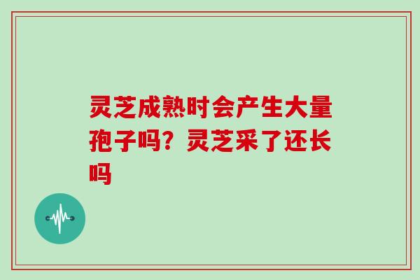 灵芝成熟时会产生大量孢子吗？灵芝采了还长吗