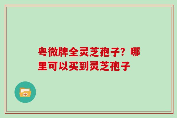 粤微牌全灵芝孢子？哪里可以买到灵芝孢子