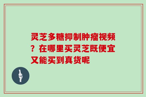 灵芝多糖抑制视频？在哪里买灵芝既便宜又能买到真货呢