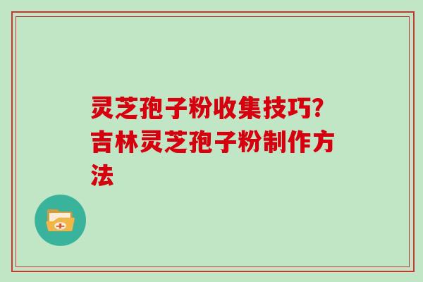 灵芝孢子粉收集技巧？吉林灵芝孢子粉制作方法