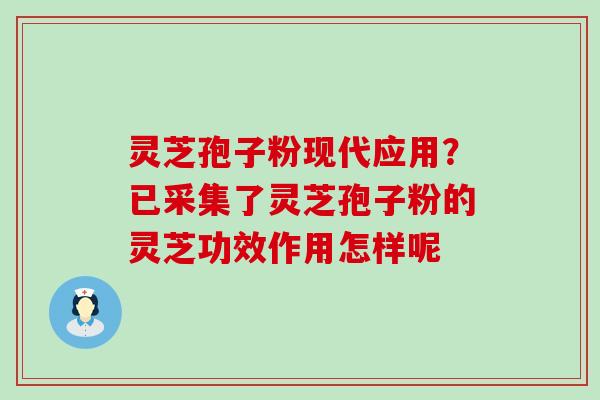 灵芝孢子粉现代应用？已采集了灵芝孢子粉的灵芝功效作用怎样呢