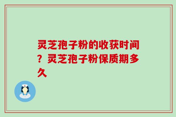 灵芝孢子粉的收获时间？灵芝孢子粉保质期多久