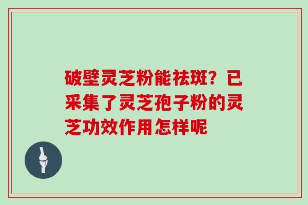 破壁灵芝粉能祛斑？已采集了灵芝孢子粉的灵芝功效作用怎样呢