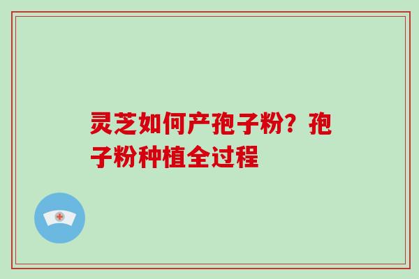 灵芝如何产孢子粉？孢子粉种植全过程