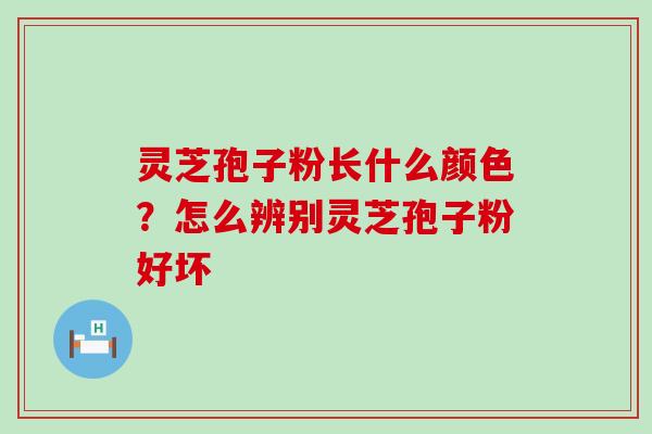 灵芝孢子粉长什么颜色？怎么辨别灵芝孢子粉好坏