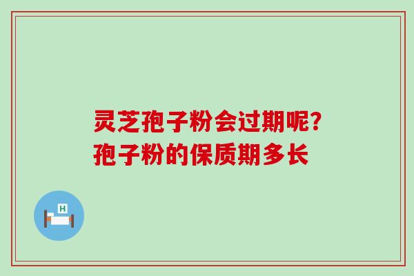 灵芝孢子粉会过期呢？孢子粉的保质期多长