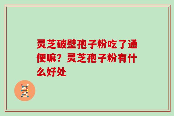 灵芝破壁孢子粉吃了通便嘛？灵芝孢子粉有什么好处