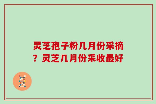 灵芝孢子粉几月份采摘？灵芝几月份采收好