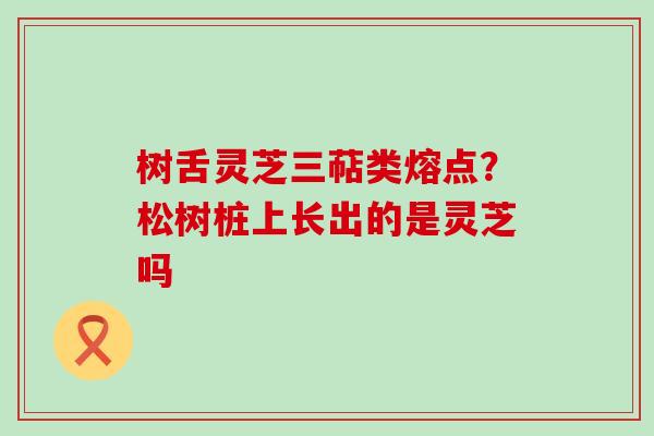 树舌灵芝三萜类熔点？松树桩上长出的是灵芝吗