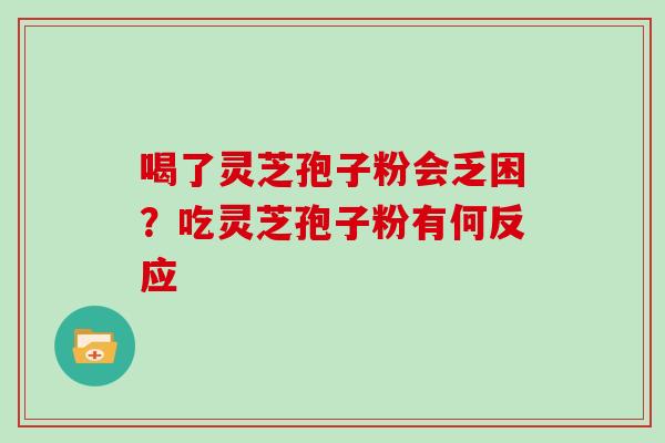 喝了灵芝孢子粉会乏困？吃灵芝孢子粉有何反应