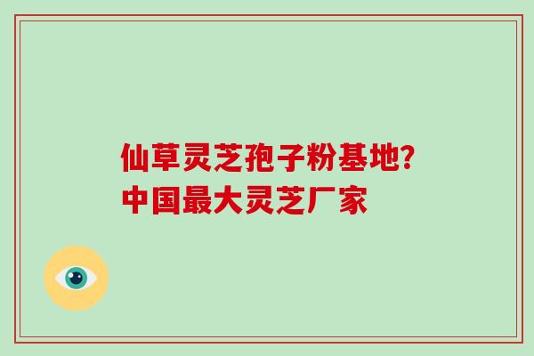 仙草灵芝孢子粉基地？中国大灵芝厂家