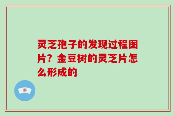 灵芝孢子的发现过程图片？金豆树的灵芝片怎么形成的