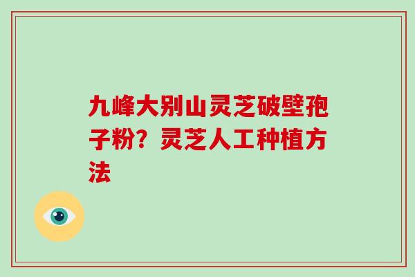 九峰大别山灵芝破壁孢子粉？灵芝人工种植方法